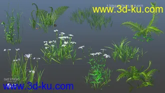3D打印模型Mighty Oak的图片