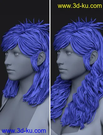 3D打印模型Mnn Hairs for Genesis 8 and 8.1 Females的图片