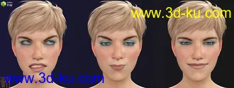 3D打印模型More Genesis 8 Female(s) Expressions & Face aniBlocks的图片