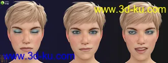 3D打印模型More Genesis 8 Female(s) Expressions & Face aniBlocks的图片