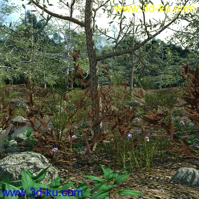 My Little Creek模型的图片4