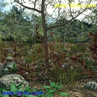 3D打印模型My Little Creek的图片