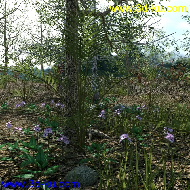 My Little Creek模型的图片7