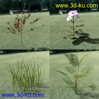 3D打印模型My Little Creek的图片