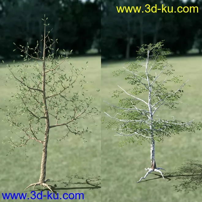 My Little Creek模型的图片15