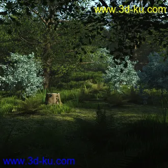 3D打印模型My Secret Grove的图片