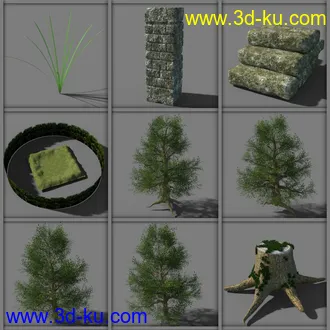 3D打印模型My Secret Grove的图片