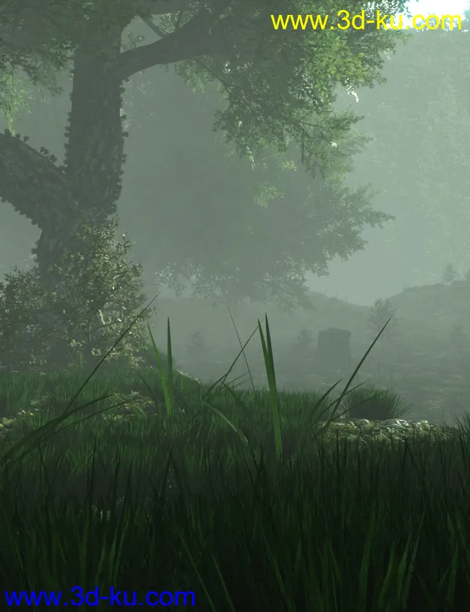 Mysterious Forest模型的图片1