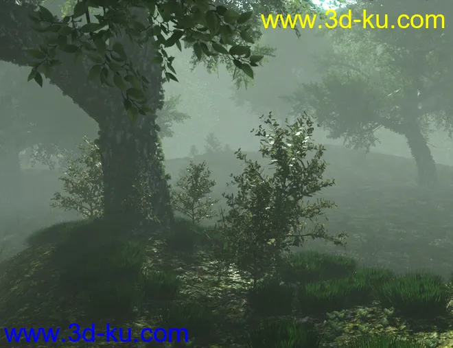 Mysterious Forest模型的图片8