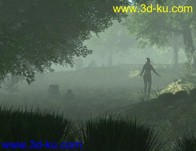 Mysterious Forest模型的图片10