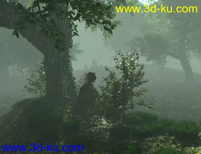 Mysterious Forest模型的图片11