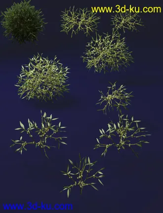 3D打印模型Mythic Mistletoe - Seasonal Plants and Decor的图片