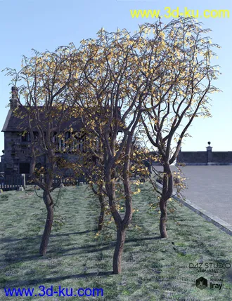 3D打印模型Natural Garden Arches的图片