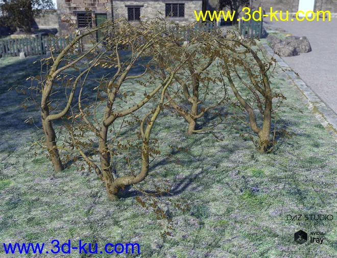 Natural Garden Arches模型的图片3
