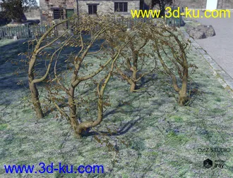 3D打印模型Natural Garden Arches的图片