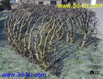 3D打印模型Natural Garden Arches的图片