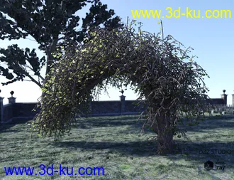 3D打印模型Natural Garden Arches的图片