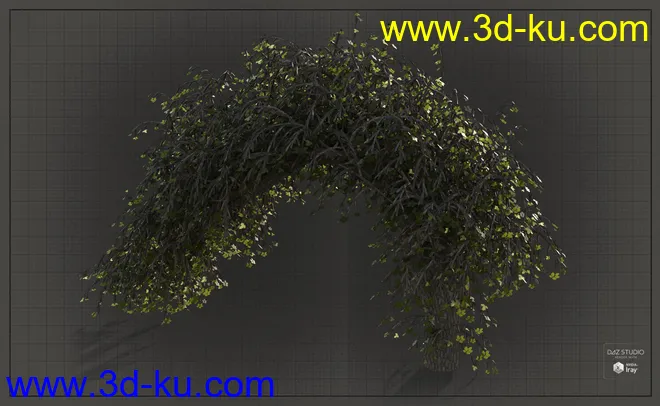 Natural Garden Arches模型的图片6