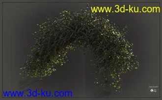 3D打印模型Natural Garden Arches的图片