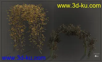 3D打印模型Natural Garden Arches的图片