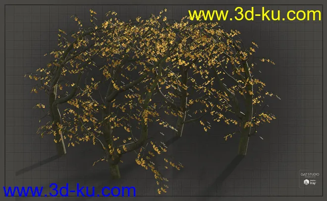 Natural Garden Arches模型的图片8