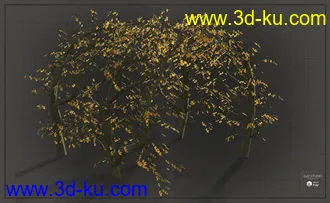 3D打印模型Natural Garden Arches的图片