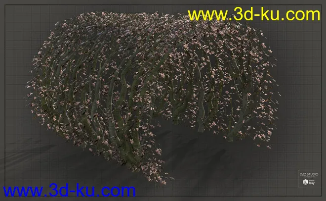 Natural Garden Arches模型的图片9