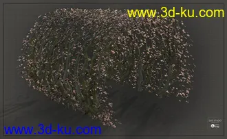 3D打印模型Natural Garden Arches的图片