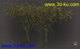 3D打印模型Natural Garden Arches的图片