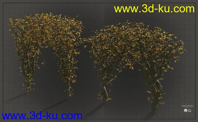 Natural Garden Arches模型的图片11