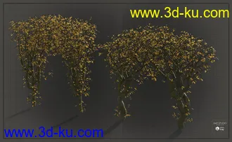 3D打印模型Natural Garden Arches的图片