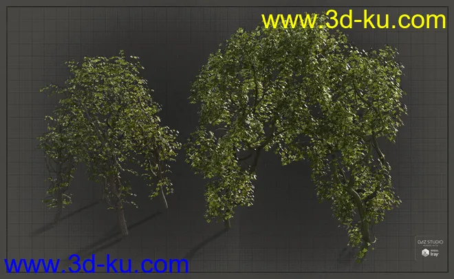 Natural Garden Arches模型的图片12
