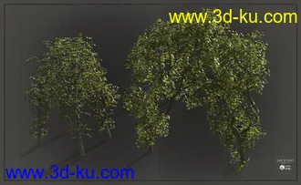3D打印模型Natural Garden Arches的图片