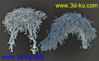3D打印模型Natural Garden Arches的图片