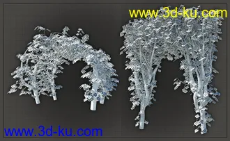 3D打印模型Natural Garden Arches的图片