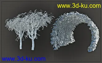 3D打印模型Natural Garden Arches的图片
