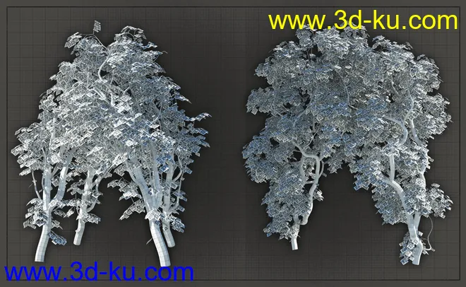 Natural Garden Arches模型的图片16