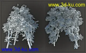 3D打印模型Natural Garden Arches的图片