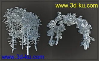 3D打印模型Natural Garden Arches的图片