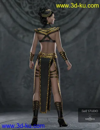 3D打印模型Night Queen Outfit for Genesis 8 Females的图片