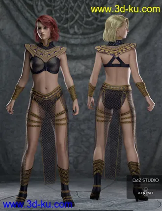 3D打印模型Night Queen Outfit for Genesis 8 Females的图片