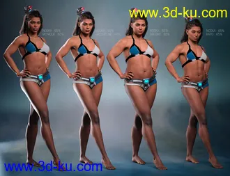3D打印模型Noska 8.1的图片