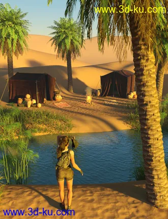 3D打印模型Oasis Camp的图片