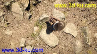 3D打印模型On The Ground - Rocks的图片