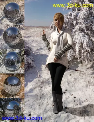 3D打印模型Orestes Iray HDRI Environment - Winter Grove的图片