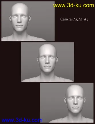 3D打印模型Paramount Lights的图片