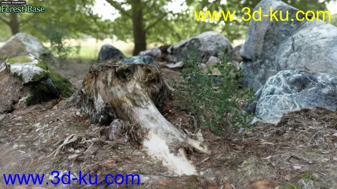 Photo Scenery Forest Base模型的图片1