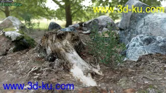 3D打印模型Photo Scenery Forest Base的图片