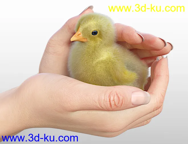Pip the Chick模型的图片2