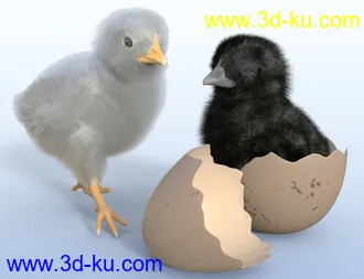 3D打印模型Pip the Chick的图片